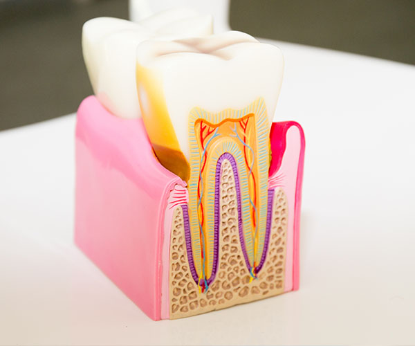  html    head  title 500 Internal Server Error  title   head    body    center  h1 500 Internal Server Error  h1   center    hr  center nginx 1.29.3  center     body     html 